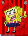 /album/fotogaleria-inicio/roji-bob-jpg/